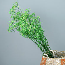 Load image into Gallery viewer, Preserved Baby's Breath (Green)