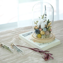 Load image into Gallery viewer, Dome Garden