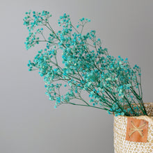 Load image into Gallery viewer, Preserved Baby's Breath (Blue)