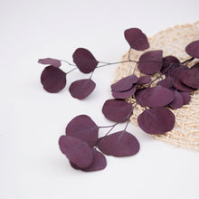 Load image into Gallery viewer, Preserved Purple Eucalyptus
