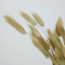 Load image into Gallery viewer, Dried Bunny Tails
