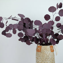 Load image into Gallery viewer, Preserved Purple Eucalyptus
